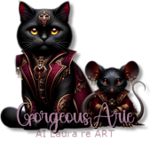 17 GorgeousArie1 vi.png