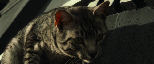 vlcsnap 2026 02 23 18h20m38s793