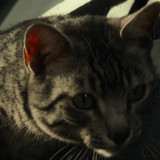 qKAgUZb.th.jpg" border="0