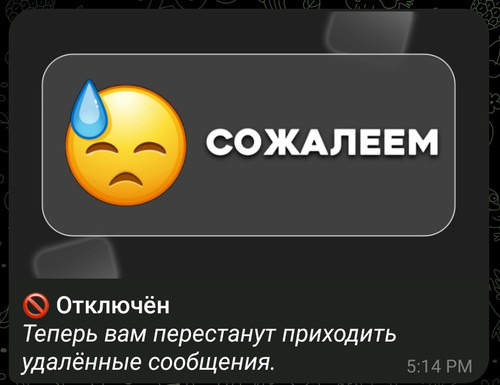 Screenshot 2026 02 23 23 21 24 718 org.telegram.messenger edit.jpg