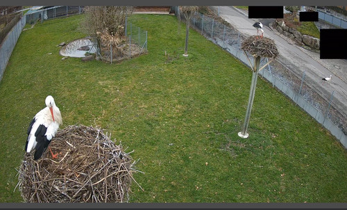 MWSnap626.jpg