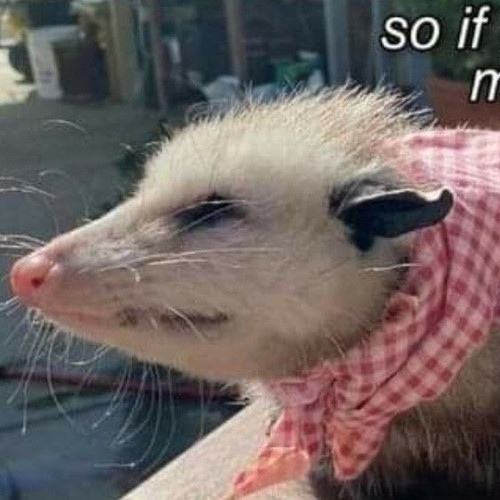 burndownyourownhouse.jpg