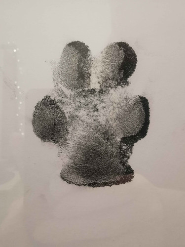 Kira paw.jpg