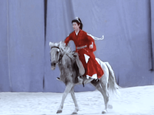 IMG 8134.gif