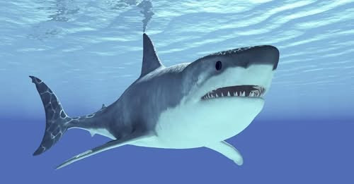 10123736149571960020?url=https%3A%2F%2Fcdn.origo.hu%2F2026%2F02%2F80lym3AAABd5lrRNT3oXvx1sUZ kHkSthF.jpg