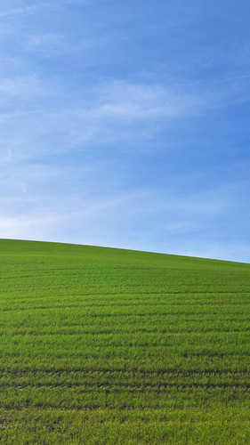 f80b8e56d1b1.jpg