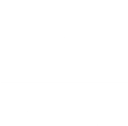 script.png