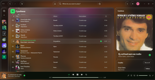 Spotify 9gwkyHZS73.png