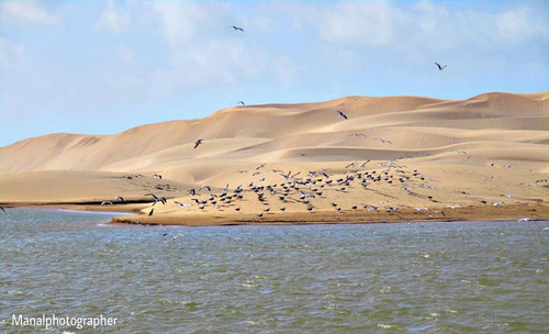 Oued Chbika EL OUATIA TANTAN.jpg