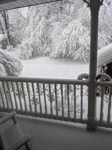 IMG 20260223 115547.jpg