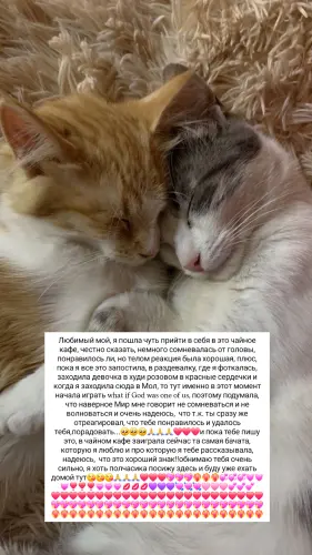 IMG 20260223 195654 524.webp