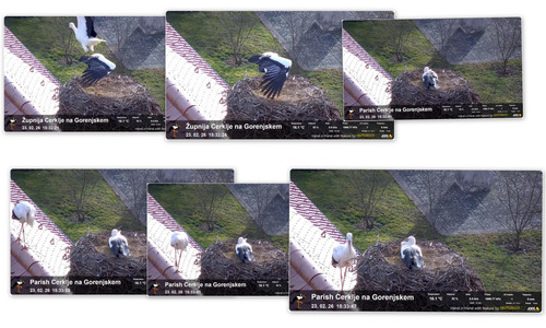 Bilder12.jpg