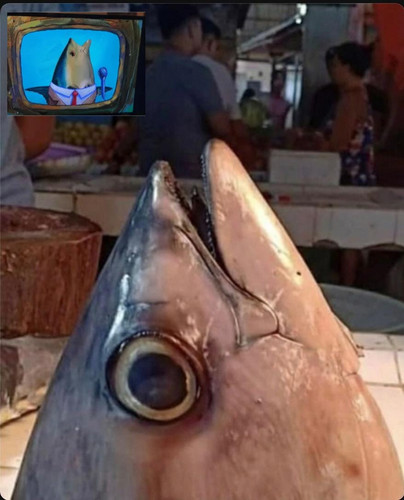 file.jpg