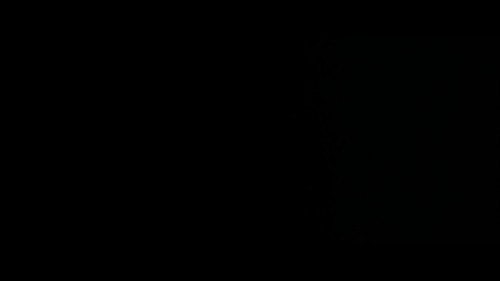 ef9ff408bcf5.jpg