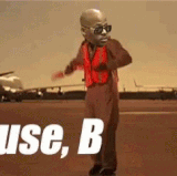 IMG 1737.gif