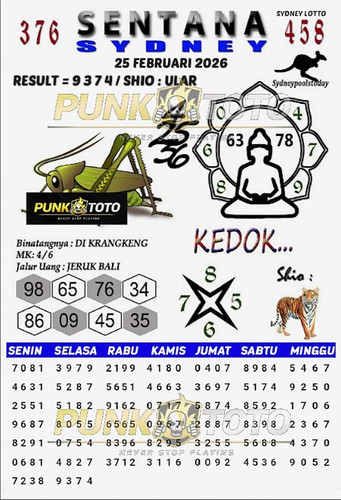 sy7.jpg