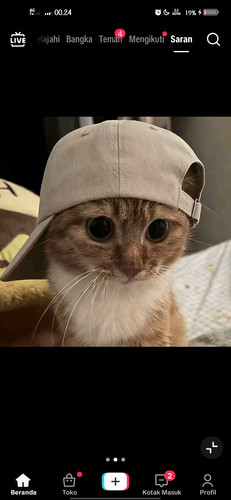 Screenshot 20260219 002421.jpg