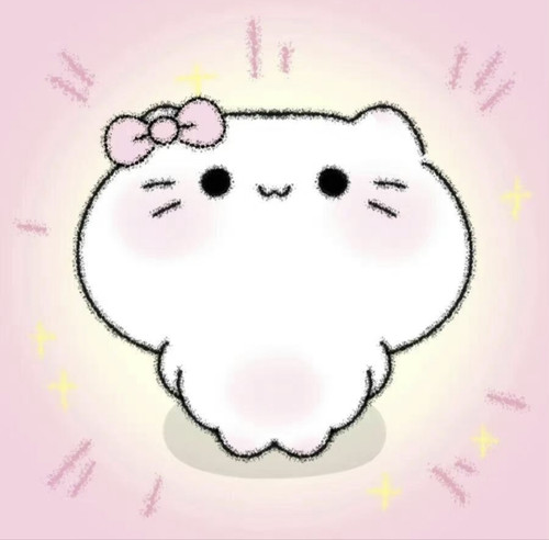 IMG 20260224 144935.jpg