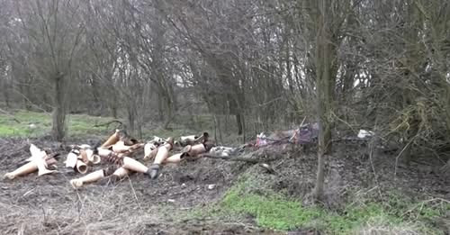 12089861111173708609?url=https%3A%2F%2Fkep.cdn.index.hu%2F1%2F0%2F6774%2F67744%2F677440%2F67744001 5.jpg