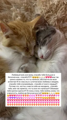 IMG 20260224 110221 398.webp