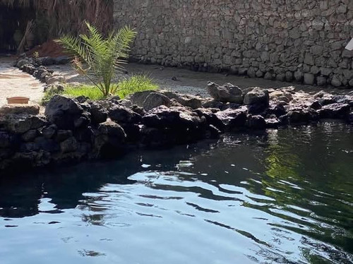 642729880 1354125670074629 3814422817547722677 n.jpg?stp=dst jpg s590x590 tt6& nc cat=101&ccb=1 7& n.jpg