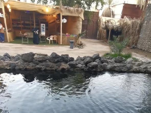 640172405 1354125653407964 1283933104028934149 n.jpg?stp=dst jpg s590x590 tt6& nc cat=105&ccb=1 7& n.jpg