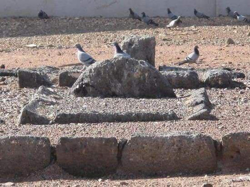 640353354 1354124160074780 1346762047208114081 n.jpg? nc cat=109&ccb=1 7& nc sid=7b2446& nc ohc=fsla.jpg