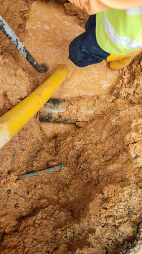 WhatsApp Image 2026 02 24 at 2.47.41 PM.jpg