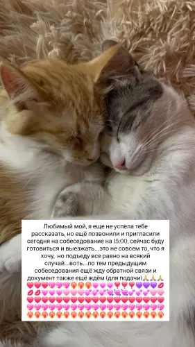 IMG 20260224 111659 235.webp