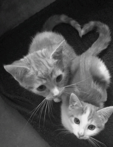 IMG 20260224 161020.jpg