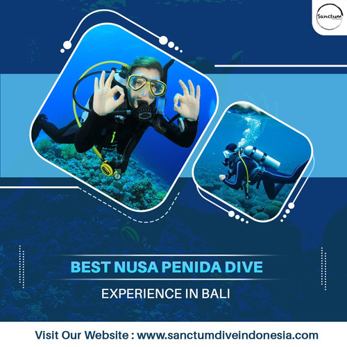 Best Nusa Penida Dive Experience in Bali.jpg