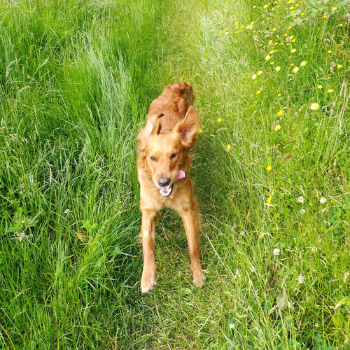 IMG 20240612 093633 HDR.jpg