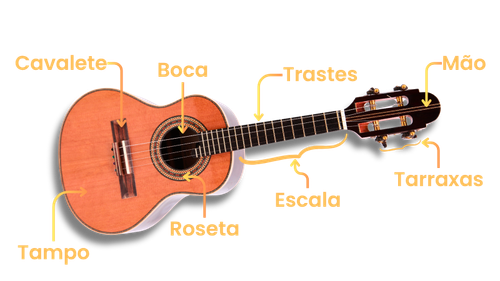 Membify Partes do Cavaquinho (800 x 450).png