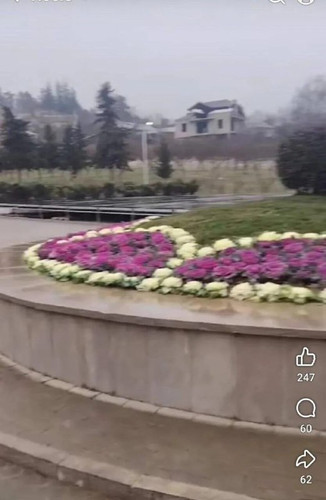 FAIFWANbq86nKinwR9 SqHiH8QQrgdGbjQ67V3zkkZ2AAsZ4wij xaeWGd7VOBUfldMSwLB4 fv EjX2pcST8CstanaLj78NvCj6.jpg