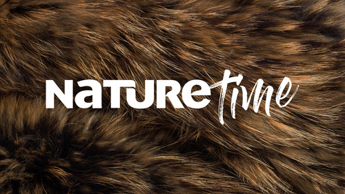 naturetime.jpg