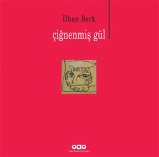 odak 161777.webp