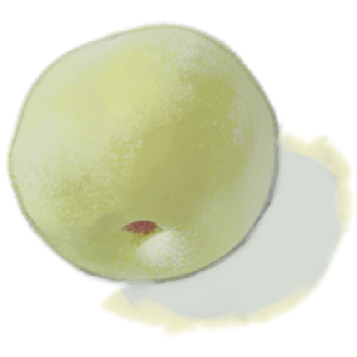 fbQ1McG.png