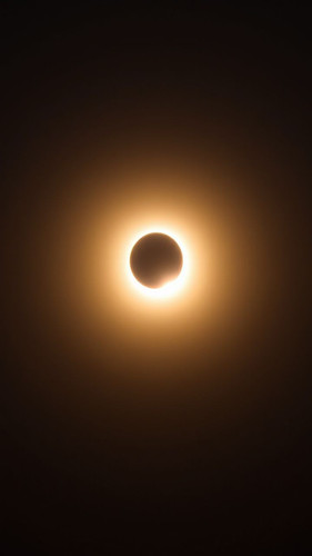3cc78e3d404f.jpg