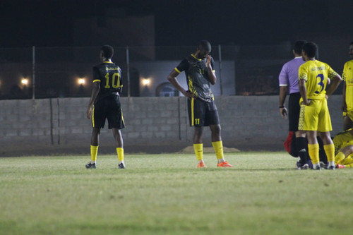 c6987e79 b0e9 4519 b0b6 c8081bc2357f.jpg