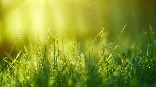 gettyimages 2198745729 640x640.jpg