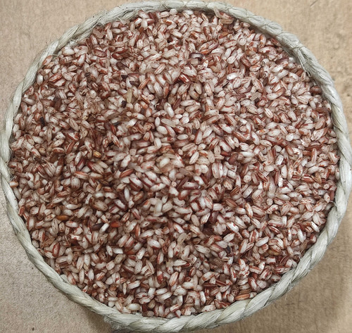 amonhalffiber (1) (1).jpg