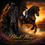 da766ed1 5912 4428 9284 59f5b9397f8c.png