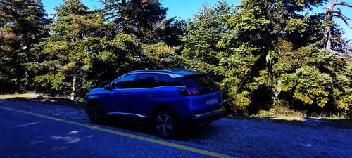 IMG 20260223 143601.jpg