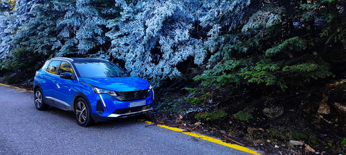 IMG 20260223 144022.jpg