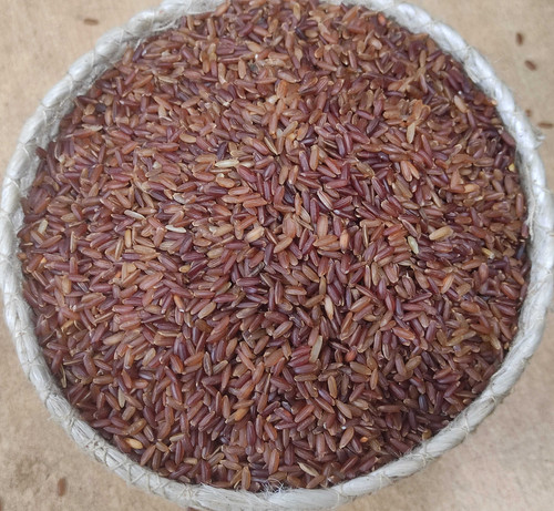 ganjiafullfiber2 (1) (1).jpg