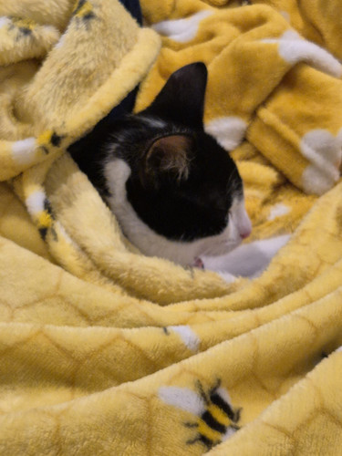 IMG 20260223 WA0022.jpg