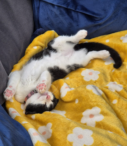 IMG 20260223 WA0005.jpg