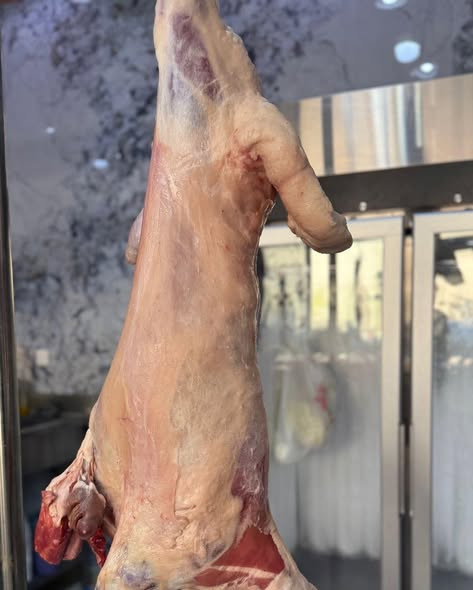 641340550 957246416833463 5303034356917485 n.jpg?stp=dst jpg s590x590 tt6& nc cat=101&ccb=1 7& nc si.jpg