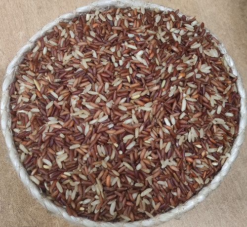 IMG 20260219 072643(1).jpg