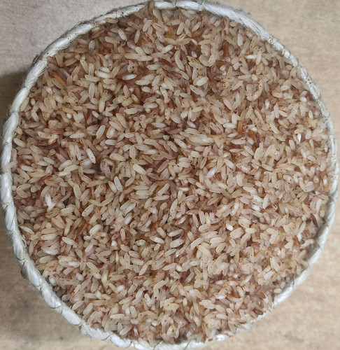 IMG 20260219 063744(1).jpg